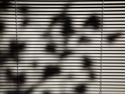 My window blind shots are usually taken from the inside, but not this time.