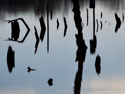 People in my bookmaking workshop encouraged me to take photos that aren`t so literal.  I took them literally.