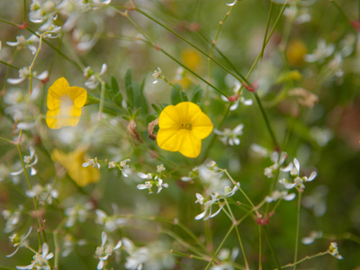 I like seeing things close up.  When I go to a movie or a concert, I usually sit in the front row.