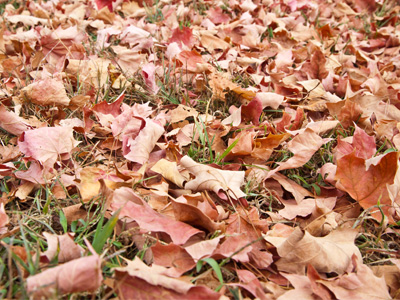 They`ve fallen and they can`t get up.