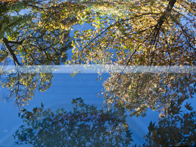 Obviously, this is a picture of the rear window of my car.  What did you think it was?