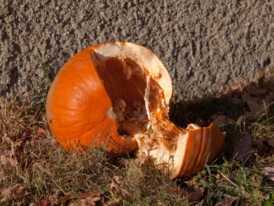 Let the carnage of autumn begin.