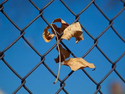 Suspended animation.