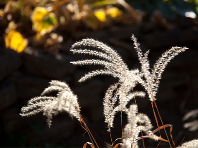 It seems sunset begins about the time I leave work.