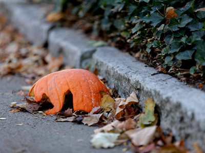 Ashes to ashes, dust to dust, pumpkin to pulp.