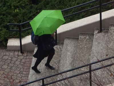 A cold autumn rain kept me indoors this afternoon during lunch, but I can always take pictures through the windows.