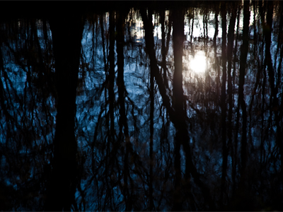 T�iy�ng de ji�ngdi cu�huo (Quenching of the Lowering Sun).