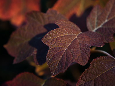 Unfortunately, there`s no more interesting version of this.