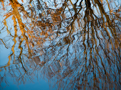 Angels and bunnies.  Should be a big seller.