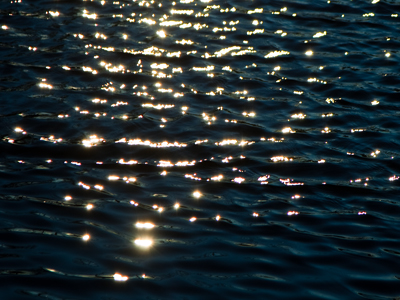 Ready for thousands of post-Thanksgiving visitors (or at least ready for their coats).