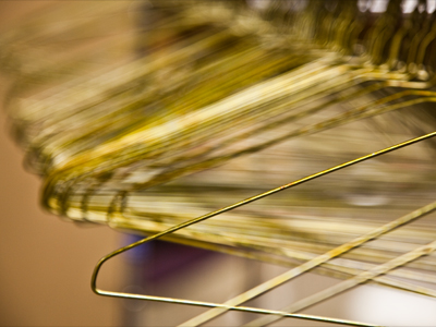 Some people like pets with six legs.