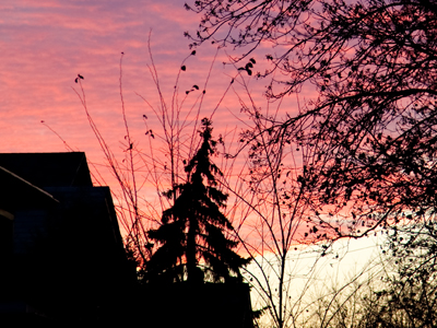 Too excited to watch, the crowd hides under their seats.