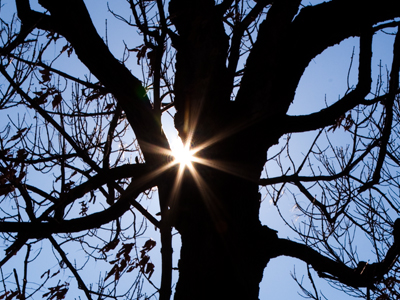 It`s impossible for my head to point in two directions at the same time (unless this is a slit scan photograph).