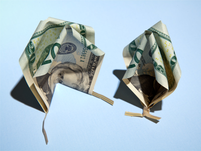 Fold the bill along the length and twist the tie once.  This creates a pair of `petals.`