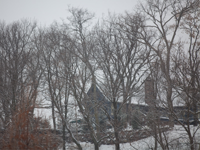 Stopping by woods on a snowy evening.  I drove to the concert by an unusual route, choosing to avoid one big, curving hill in favor of smaller hills that go straight down.