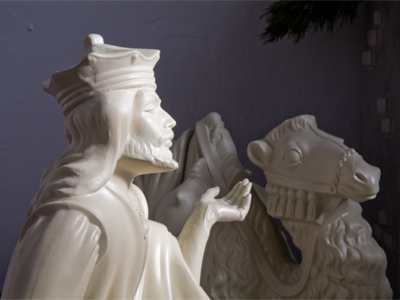 `Need a used camel?  Very low mileage.`