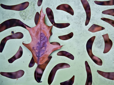 Natural and artificial designs blend harmoniously.