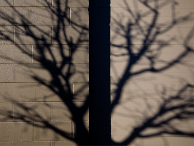 In case you missed it:  today was sunny.