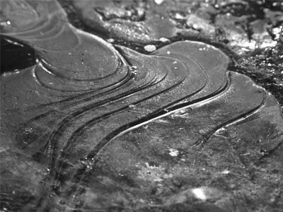 Yesterday this was a puddle.