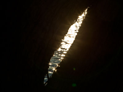 Sparkling river seen through a slit in a tree trunk.