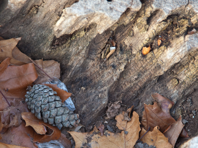 There are memorable picture-taking days, and then there are days like today.