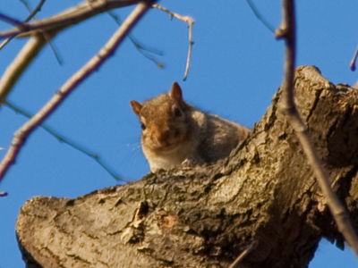 It was just the two of us in the park.