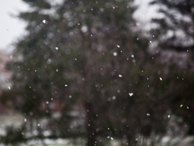 Some people love snow.  I don`t hang around with them.