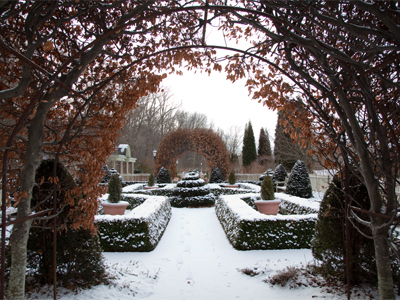 After my indoor photo workshop today, I took pictures outside because I knew I should, not because I wanted to.