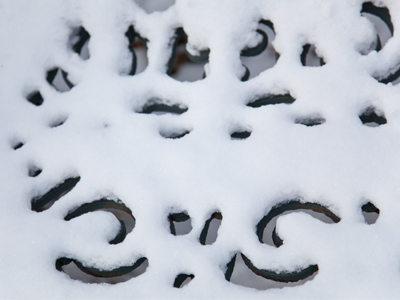 Yeah, so, what did YOU take pictures of outside in the snow on Saturday morning?