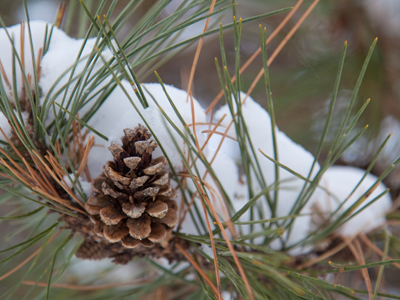 You may be able to detect a theme in today`s photos.