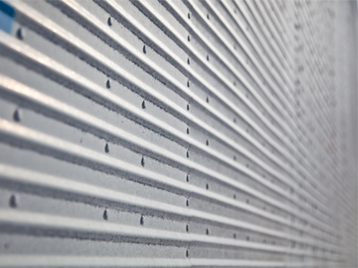 A completely riveting picture.