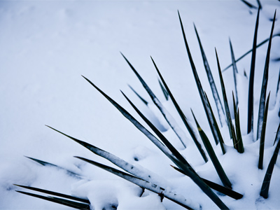 Better not try to make snow angels here.