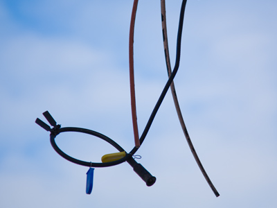 Disillusioned with the art world, Alexander Calder began working for the cable company.