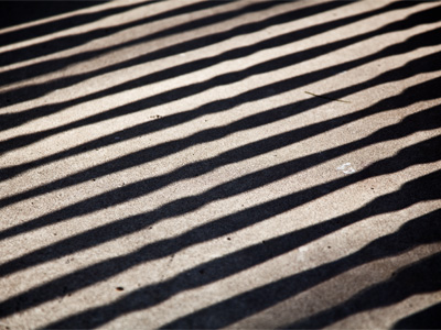 I`ve got one photo already and haven`t left the front porch.