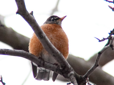 SOMEBODY put on weight over the holidays.