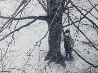 She clung to the tree for a few moments before venturing any further across the dangerous ground.