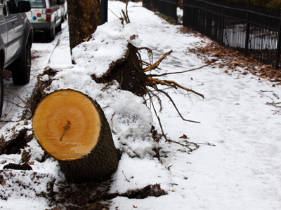 I guess ice can get pretty heavy.