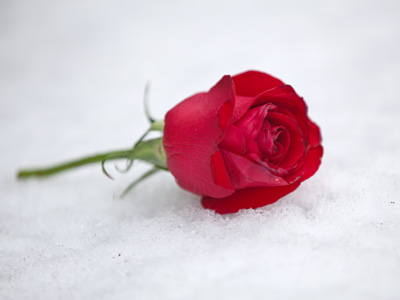 Life is full of mystery.