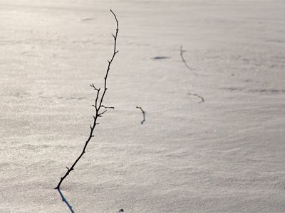 Like in some Jack London story, I was alone on the frozen tundra.  (Well, there also was a lady walking her dog.)