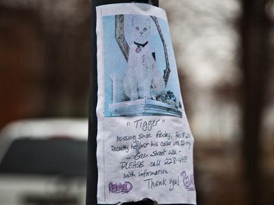 Have you seen Tigger?