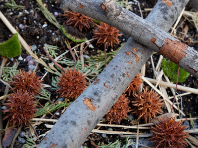 Not random - someone arranged this.