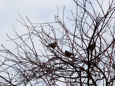 Hang on, spring will be here soon.