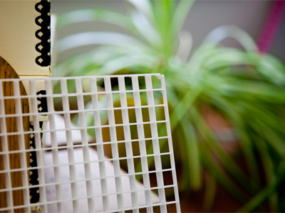 Compared to yesterday`s pictures, this looks GREAT!