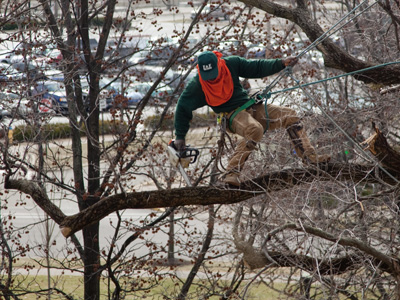 He`s not gonna . . . 