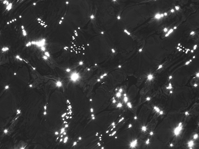 Sunshine on the water looks so lovely.  JOHN DENVER