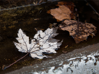 Last year`s tree decorations.
