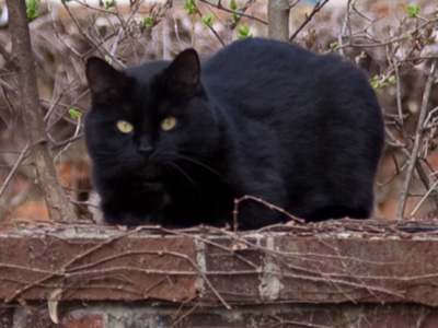 Hope this doesn`t make you sneeze.