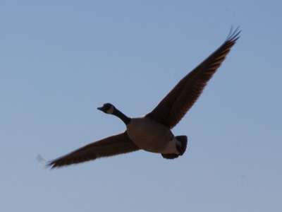 Dayton:  Birthplace of Aviation.