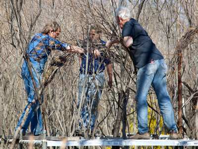 Artist Patrick Dougherty (right) bends Nature to his will.
