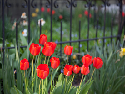 Green Street is green, red, yellow and white.